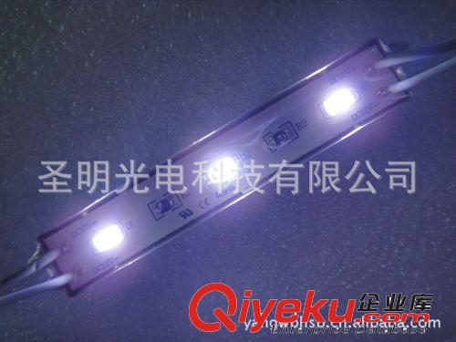 新型LED广告发光模组 5630LED发光小模组 质量上乘
