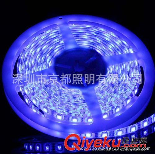 热销新款 5050蓝光滴胶防水灯带 60LED灯带