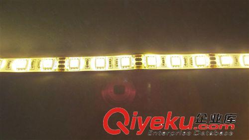 厂家批发 5050暖白光12V灯带 60LED灯带