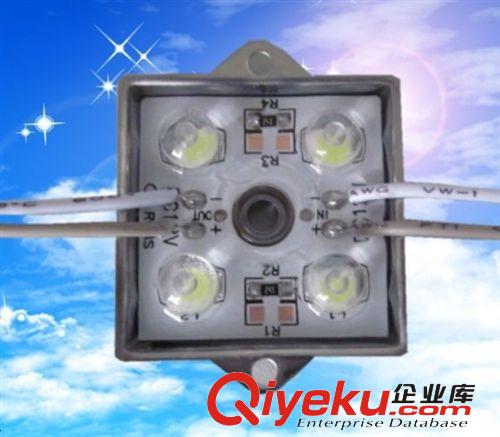 LED贴片3528四灯透镜铁壳防水红白 12V发光广告喷绘外露模组灯头