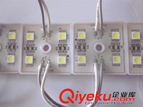LED贴片5050方形四灯防水红白蓝七彩 12V发光广告灯箱/喷绘模组灯
