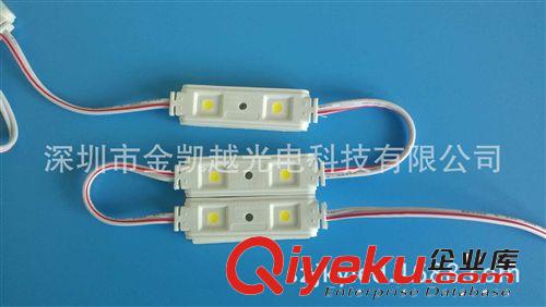 【厂家供货】2灯5050LED注塑模组 晶元多种颜色模组 注塑模组