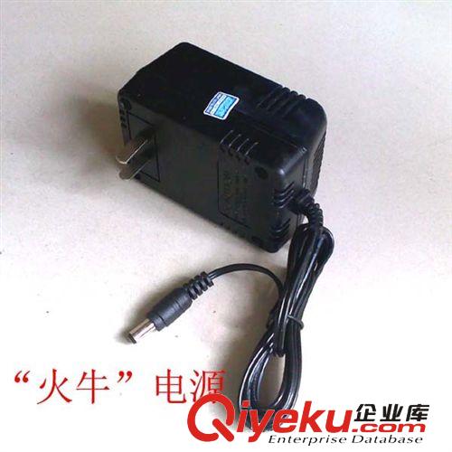 厂家直销安防监控摄像机电源适配器（12V/1A)    “火牛”