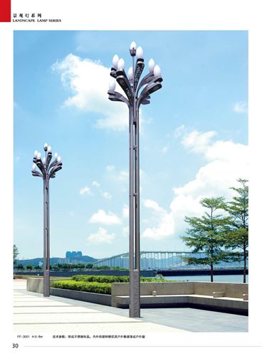 景观灯 厂家直销不绣钢铁制品艺术非标景观灯庭院灯15米玉兰灯