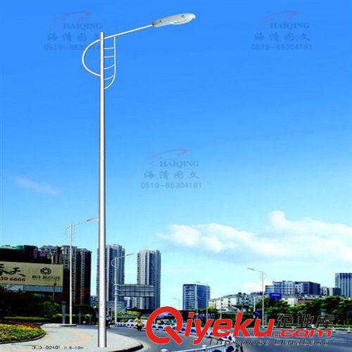 道路照明灯 厂家直销 路灯生产 单臂路灯 双臂路灯 LED路灯