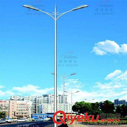 道路照明灯 厂家供应价廉质优的LED道路灯 优质双臂LED路灯 质量保证