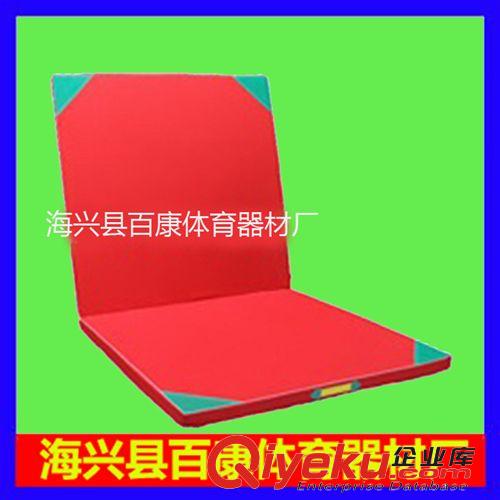 体操垫系列 体操垫 海绵垫仰卧起坐垫 各种规格尺寸定做 厂家生产批量优惠