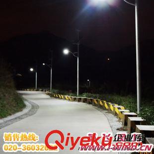  风光互补路灯 风光互补路灯6米 50W LED路灯 DC12V