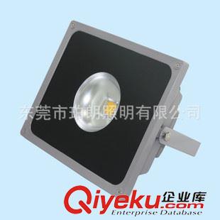 led投光灯 20W30W50WLED中光束窄光束投光灯聚光灯60度