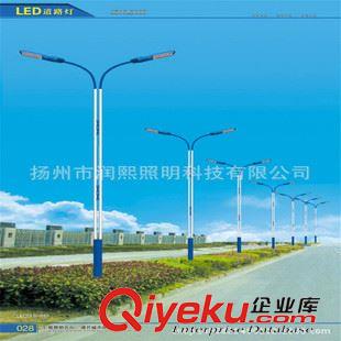 LED  L双臂路灯系列 5米-12米led道路照明灯 潤熙优质路灯生产厂家 提供各种led路灯