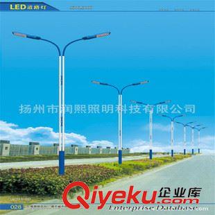 灯具库系列 潤熙 优质路灯生产厂家 专业生产各种5-12米led路灯