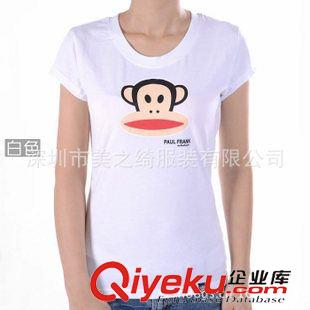 订做女式T恤衫 供应白色修身女式T恤 夏装圆领女式T恤衫订做