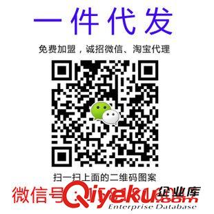 6月份新款 诚招淘宝微信实体店代理 鞋类包包围巾丝巾首饰厂家免费一件代发