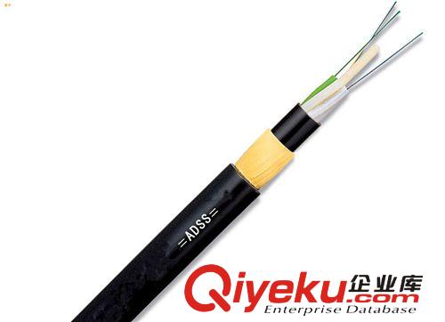 ADSS-8B1-500M PE原始圖片2