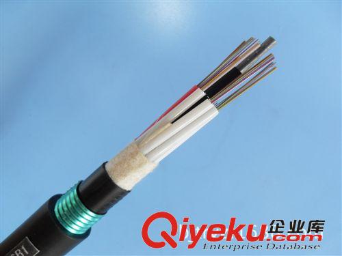 北京GYTA+RVV光纜|GYTA+RVV廠家現貨|光電復合纜GYTA光纜采購批發原始圖片2
