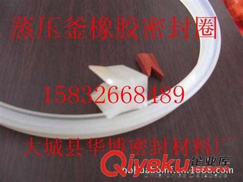 福建蒸壓釜密封圈，山東蒸壓釜密封圈，天津蒸壓釜密封圈廠家原始圖片3