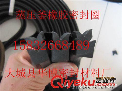 蒸壓釜密封圈，蒸壓釜法蘭密封圈，硅膠蒸壓釜密封圈原始圖片2