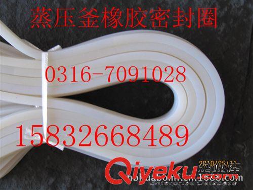 蒸壓釜密封圈，蒸壓釜法蘭密封圈，硅膠蒸壓釜密封圈原始圖片3