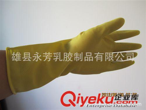 防護(hù)手套  耐酸堿手套 加厚