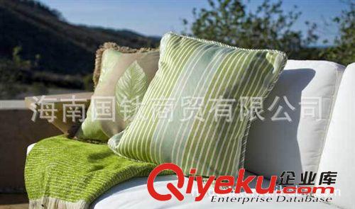 定做抱枕 靠墊 廠家直銷靠枕 sunbrella抱枕 枕頭 進(jìn)口抱枕原始圖片2