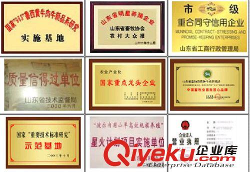 肉牛好養活嗎湖南省湘潭市黃牛好養活嗎原始圖片2
