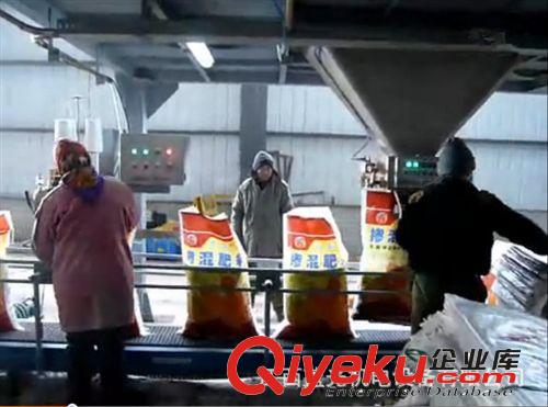 化肥顆粒包裝機(jī)（包裝速度快，稱量精度高360-420包/小時）原始圖片2
