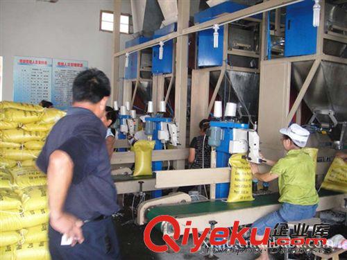 山東面粉定量包裝機(jī) 河北豆粉自動(dòng)包裝機(jī) 山東麥粉稱重包裝機(jī)