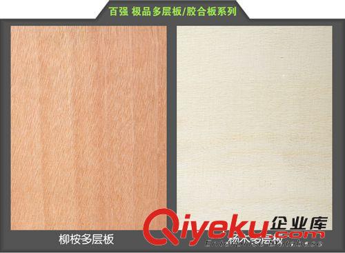 百強(qiáng)牌無甲醛EO/E1級阻燃防火防水系列多層膠合板樣品原始圖片3