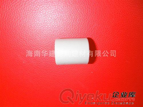海南華建易購(gòu)高品質(zhì)PPR管套 塑料管材管件 PPR直接 直通經(jīng)久耐用原始圖片3