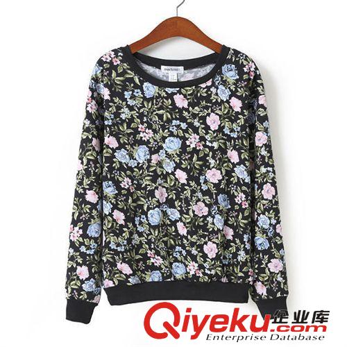 2014歐美大牌秋季新款 HM同款女式休閑套頭植物印花長(zhǎng)袖衛(wèi)衣原始圖片2