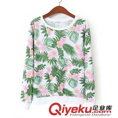 2014歐美大牌秋季新款 HM同款女式休閑套頭植物印花長(zhǎng)袖衛(wèi)衣原始圖片3