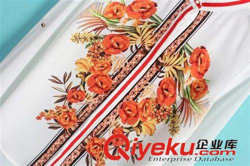 2014歐美夏季女裝新款 艾格同款肩章復古定位印花雪紡長袖襯衫女原始圖片2