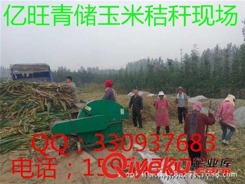 西門塔爾牛犢,架子牛,肉牛犢,公牛犢,內(nèi)蒙古適合養(yǎng)殖西門塔爾牛嗎