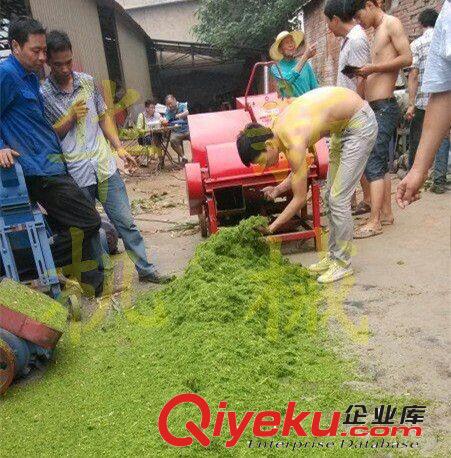 玉米秸稈揉絲機--青飼料揉絲機--新款鍘草揉絲機--低價促銷&2