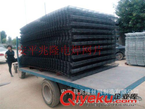 河北省安平縣兆隆電焊網片生產廠家 鍍鋅電焊網片浸塑電焊網片