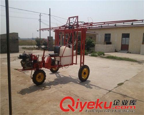 大型噴藥機(jī)，自走式高桿噴霧機(jī)，廠家直銷，品質(zhì)保證原始圖片2