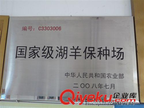 {gjj}湖羊保種場，山東省湖羊養殖科研基地