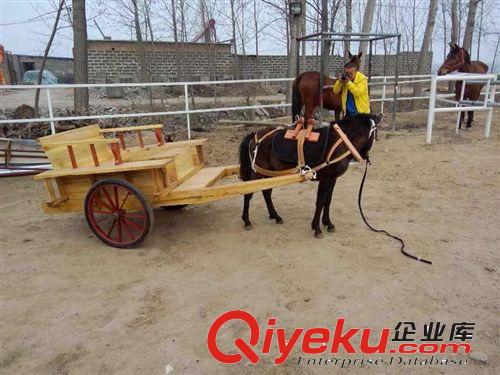 山東省哪里賣馬。山東省騎乘馬價(jià)格{zd1}廠家