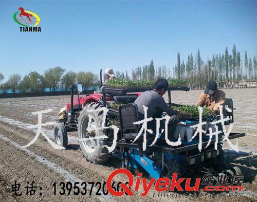 {gx}{wn}移栽機(jī)2014年出{zx1}款移栽機(jī)就在樂(lè)陵天馬原始圖片3
