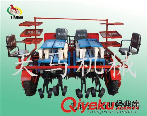 秧苗移載機{sx}樂陵天馬