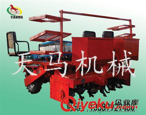 秧苗移載機{sx}樂陵天馬