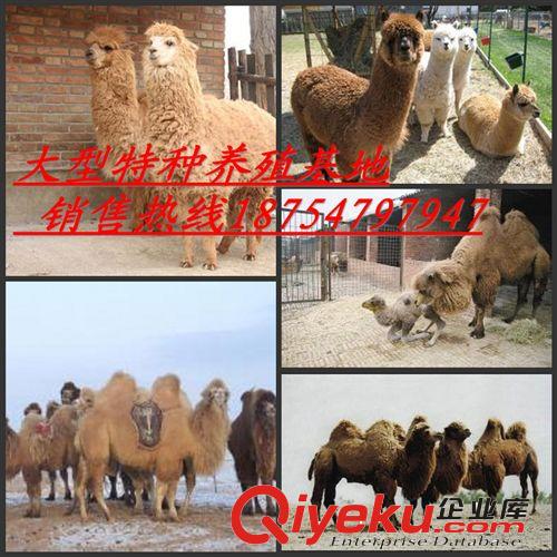 甘肅平?jīng)鍪邢愀浇睦镉谐鍪垴橊労脱蝰劦? />
                                
                             </div>
                             甘肅平?jīng)鍪邢愀浇睦镉谐鍪垴橊労脱蝰劦?
                         </a>
                      
                         <a target=