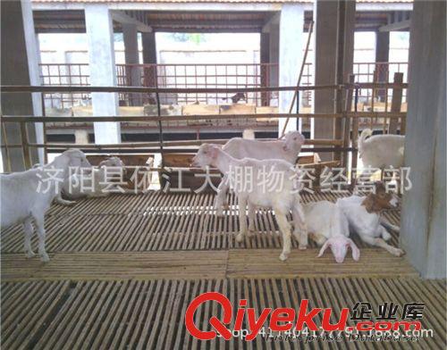 各種尺寸養羊床羊羔產床小尾寒羊波爾山羊淮山羊綿羊竹羊床工廠