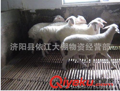 章丘羊床濟南羊床價格菏澤漏糞板濟寧東營養羊專用羊床漏糞板