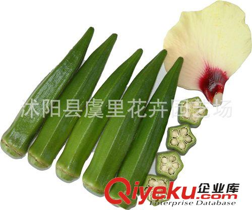 保健蔬菜種子 黃秋葵種子 陽(yáng)臺(tái)種菜 bs菜種子 羊角菜 羊角豆