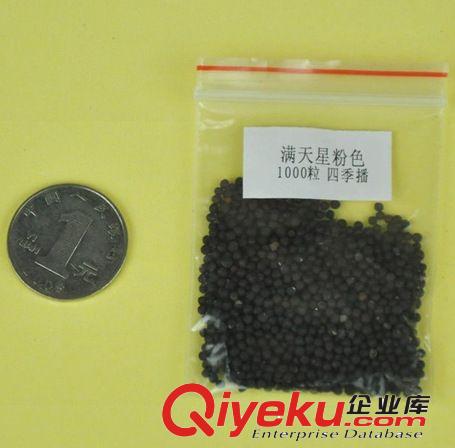 花卉花籽【滿天星種子粉色/白色1000粒】花草陽臺庭院盆栽易種植原始圖片3