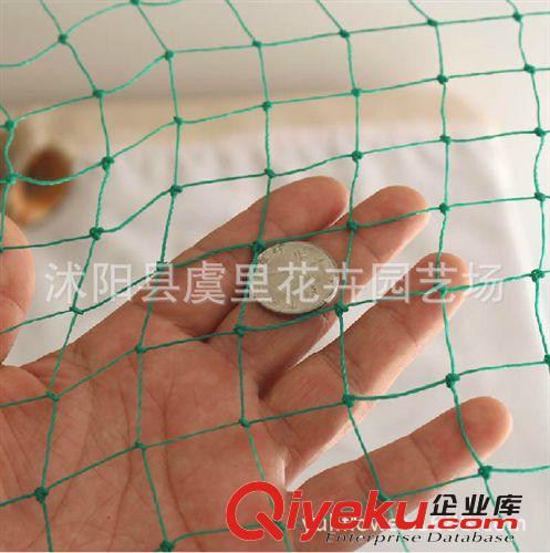 養(yǎng)鴨網(wǎng) 養(yǎng)鵝網(wǎng)養(yǎng)雞網(wǎng) 防護(hù)網(wǎng) 防鳥網(wǎng) 爬藤網(wǎng) 塑料網(wǎng)護(hù)欄網(wǎng)隔離網(wǎng)原始圖片2