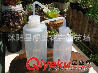 多肉 工具 澆水壺 促銷 包郵 專用尖嘴澆水瓶/澆水壺原始圖片2