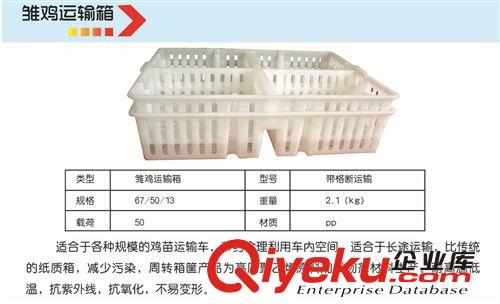 批發周轉箱 雞周轉箱 雛雞箱雛雞筐  雞苗箱  雛雞周轉箱