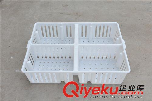 批發周轉箱 雞周轉箱 雛雞箱雞苗箱  雛雞周轉箱